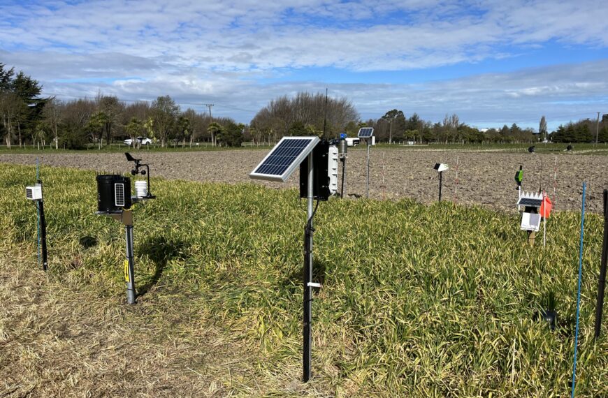 FAR probe site helps with irrigation calls