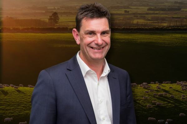 Tim Deane to join board of Rabobank NZ 