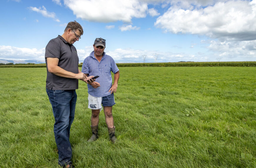 Getting smart about measuring pasture cover