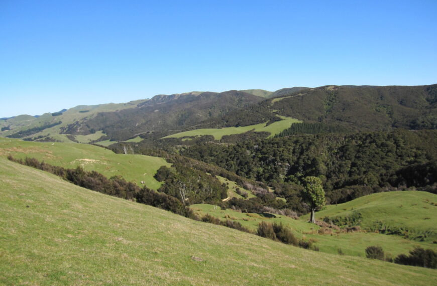 NZ rejects Swiss bid to buy Otago farmland