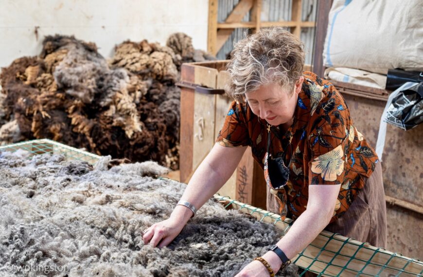 Fashion designer Liz Mitchell calls for a wool revolution