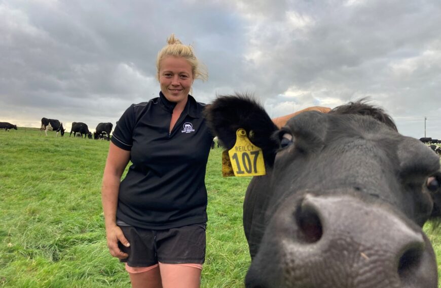 LouLou the Cow Whisperer: for the love of the herd