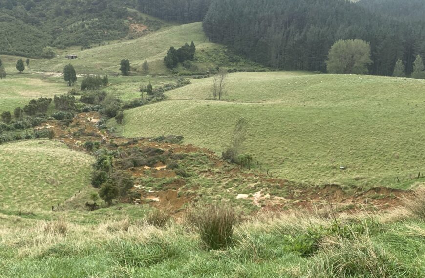 Farmers see red over Northland livestock exclusion plans
