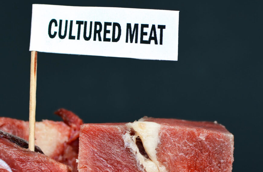 Italian government bans cultivated meat