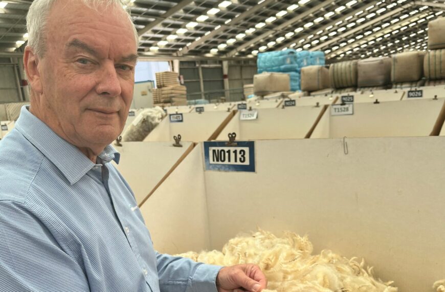Warning about wool as veteran bids industry farewell