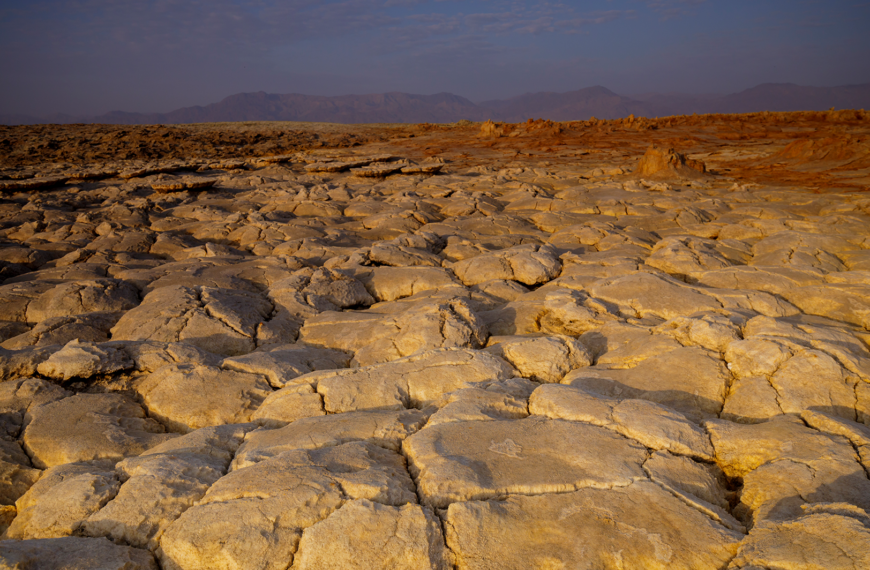 A lesson for farmers from the Danakil Depression