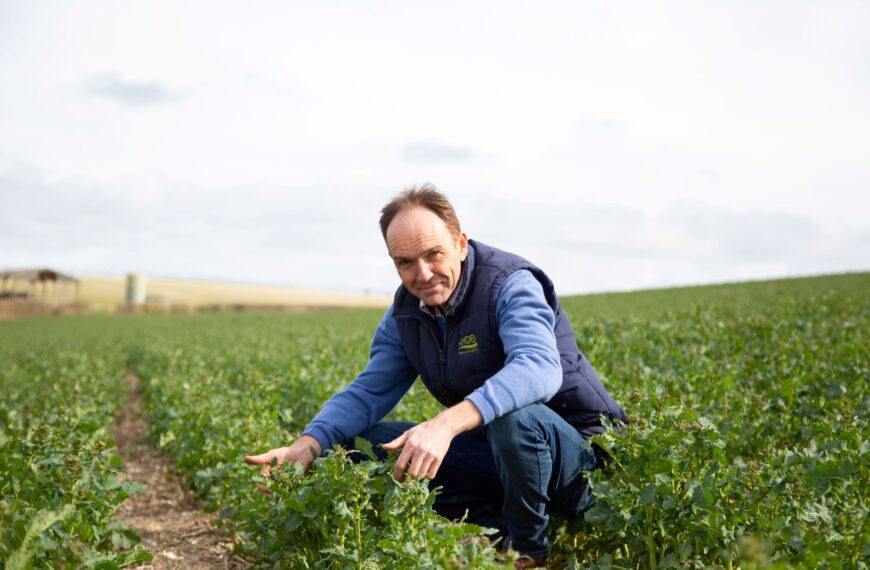 A ‘subsidy junkie’ fears for UK farming future