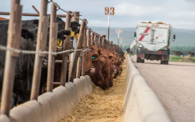 New opportunities for NZ beef as US cuts herd 