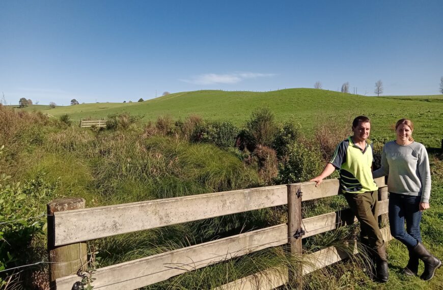 Waikato duo’s two-year journey to build a wetland