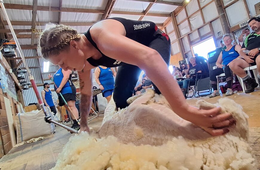 Silcock powers through another shearing record