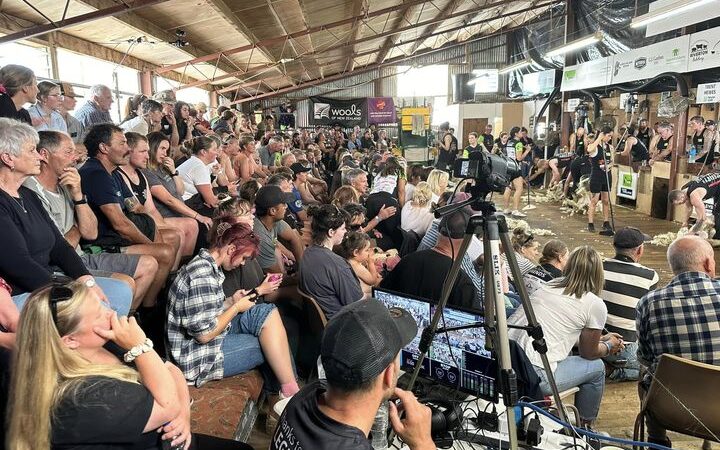 Beginners’ pluck as five set shearing record