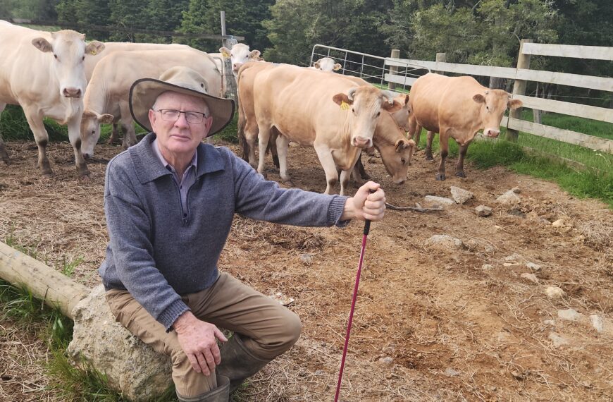 Selling Northland farms into pines ‘detrimental’