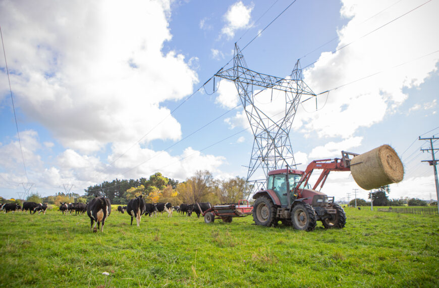 Farmers’ help needed to power NZ