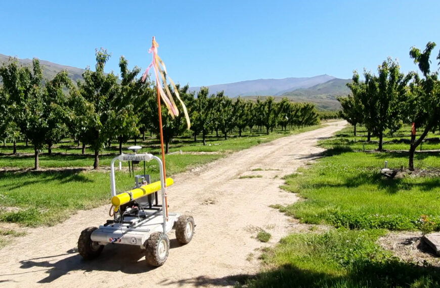 Scare-bot could keep orchards bird free