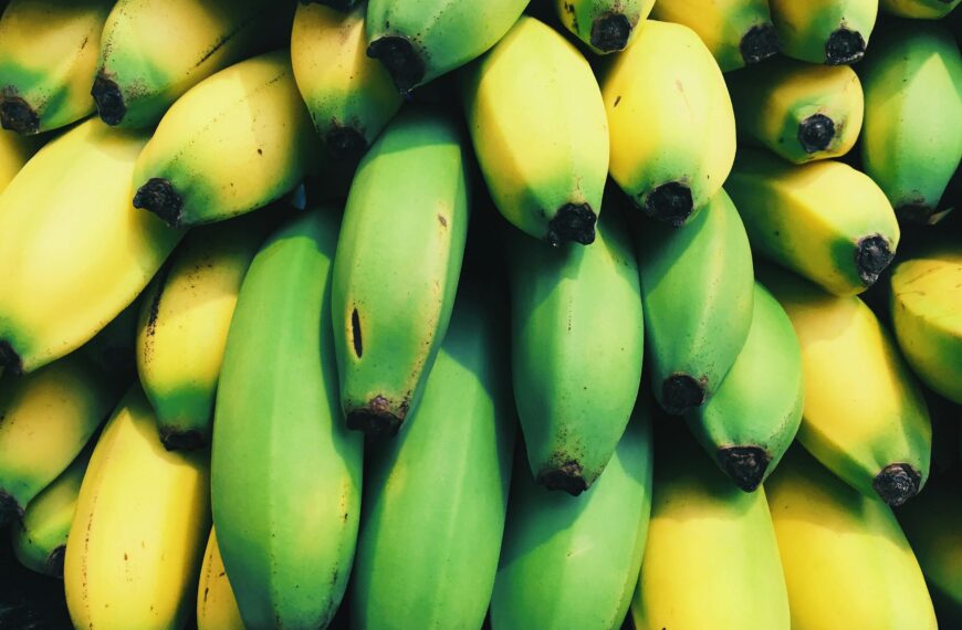 GMO bananas get the green light in Aus, NZ