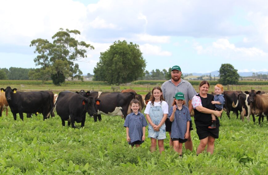 family on a farm with a herd of cows