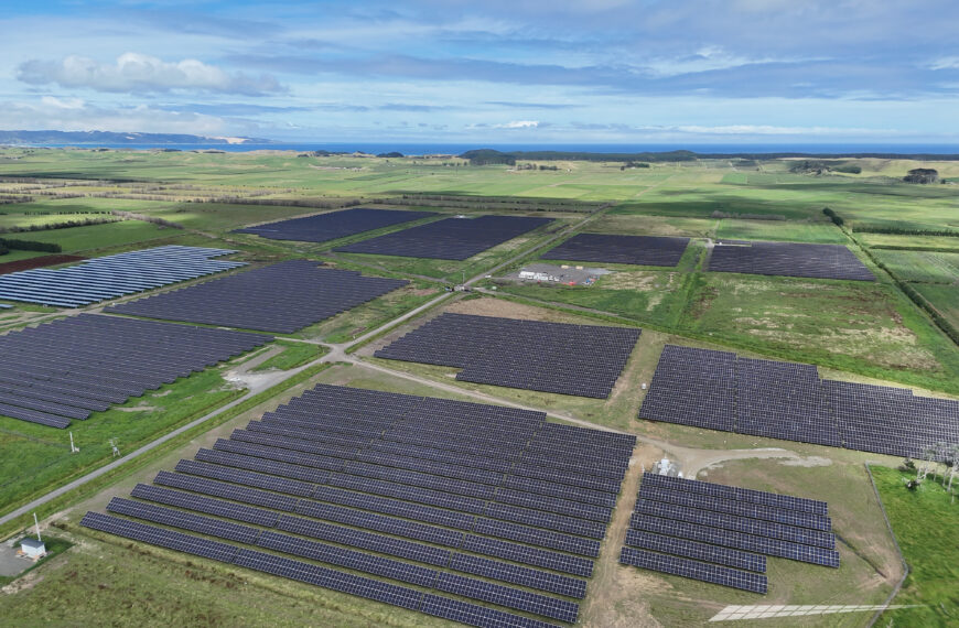 NZ’s largest solar farm to date officially opened 