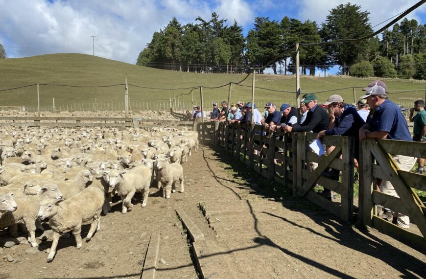 On-farm sales come to Taihape