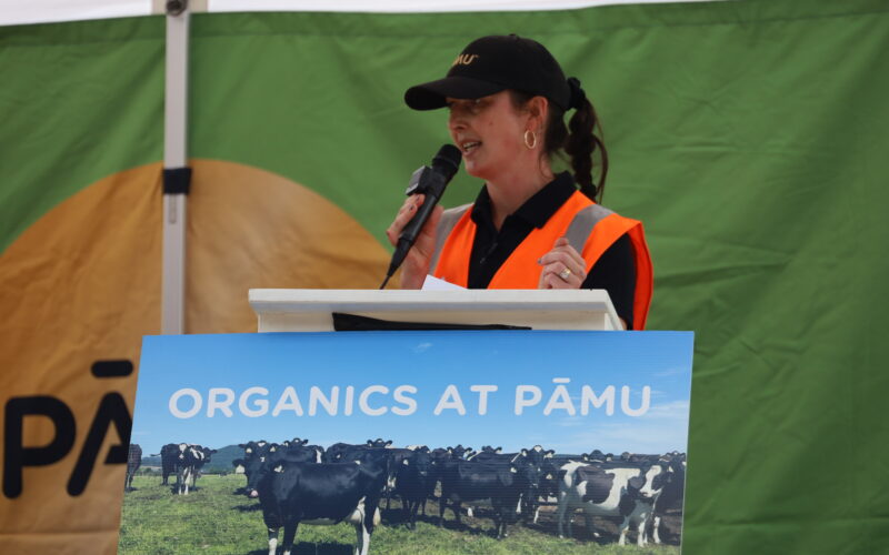 How Pāmu’s organic farm weaned itself off drench