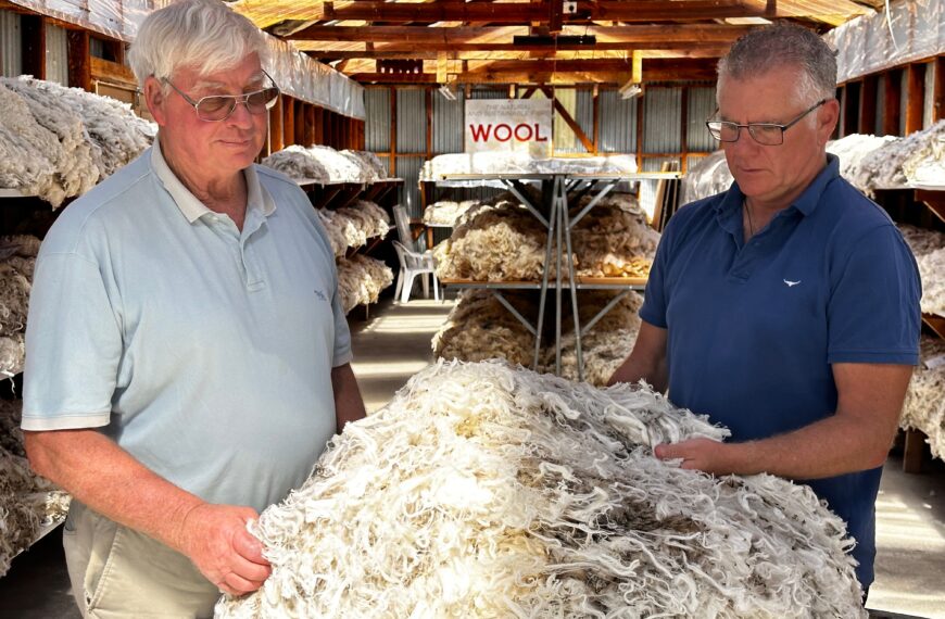Quest to find golden fleece at Wanaka A&P