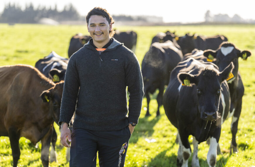 Ahuwhenua Young Maori Farmer - Shayden Gardiner Ahuwhenua Trophy Excellence in Māori Farming Award 2024 - Dairy. March 2024. Photo by alphapix.nz CONDITIONS of USE: FREE for editorial use in direct relation the Ahuwhenua Trophy competition. ie. not to be used for general stories about the finalist or farming. NO archiving of images. NO commercial use. Please contact John@alphapix.co.nz if you have any questions