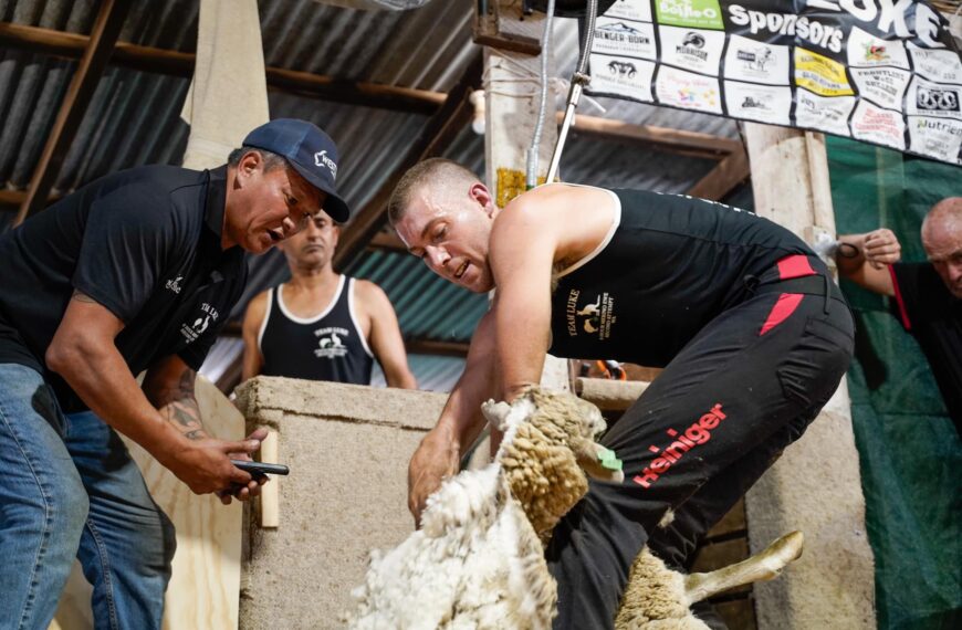 NZ shearer sets new Merino world record in Aus