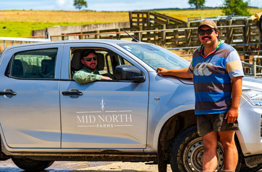 Investing in company culture key to Mid North Farms’ success