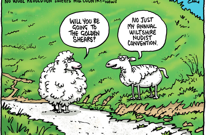 Future of Sheep Farming