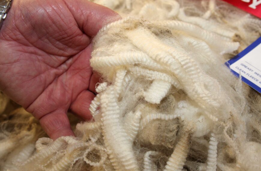 Thinking small to think big about wool’s future