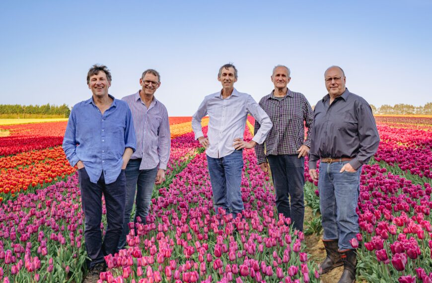 Southland tulip farm harvests its last bulb