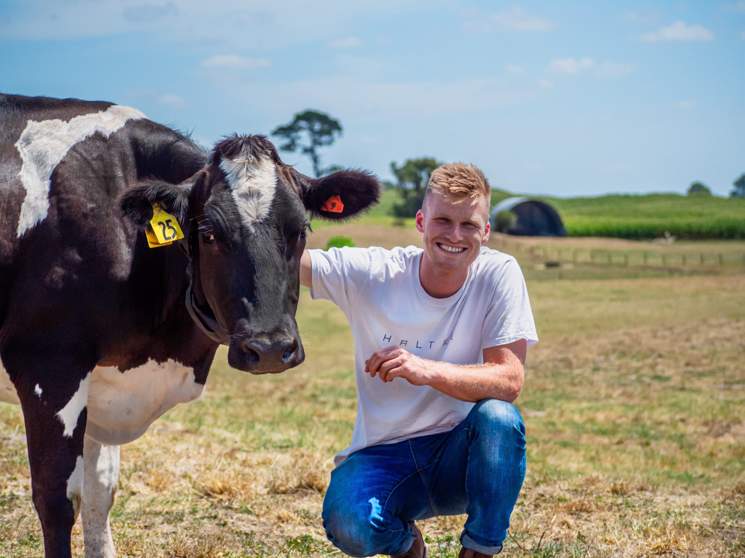 Halter’s NZ subscription earnings up 45% on the year