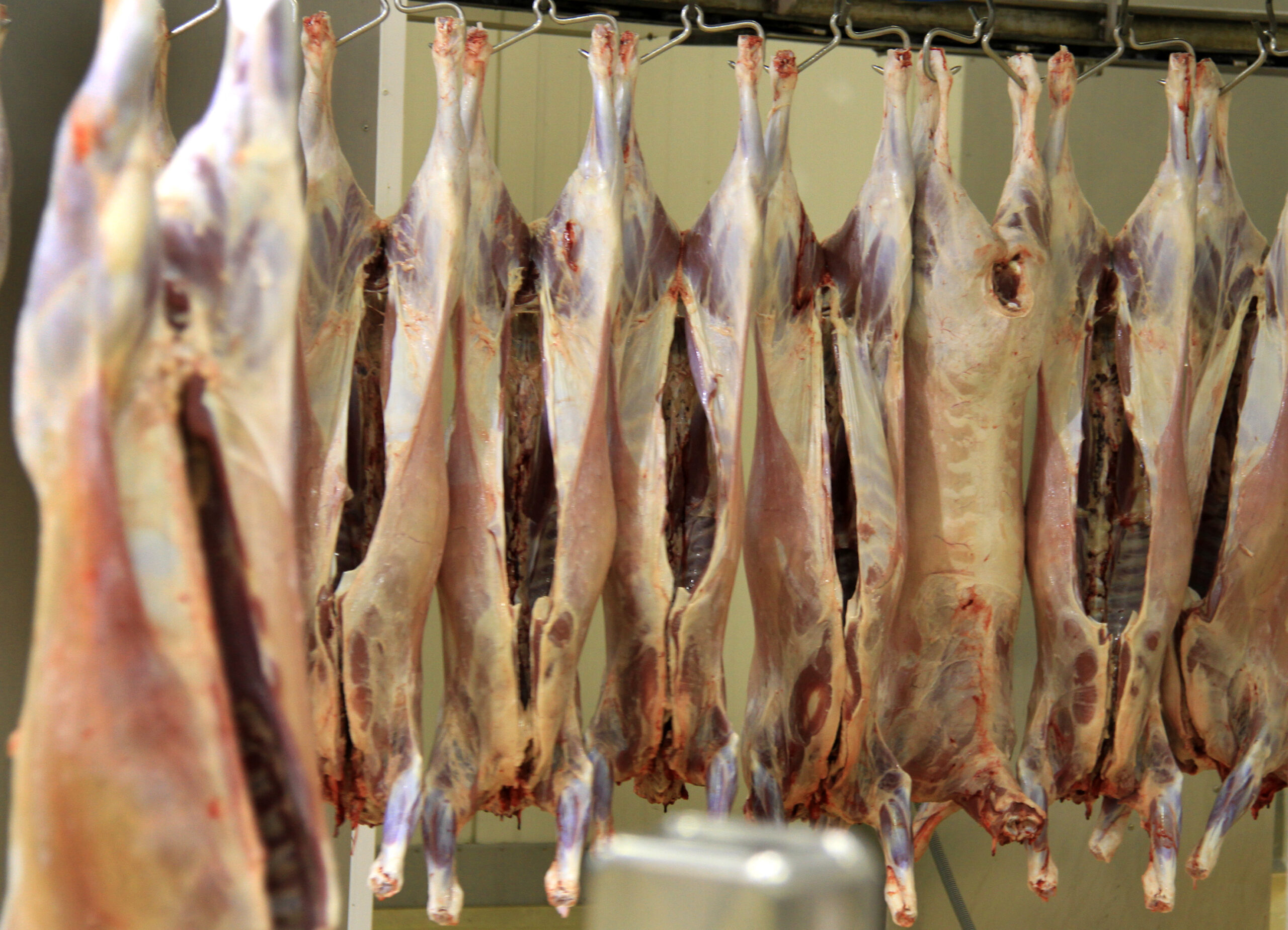 Govt assesses cold storage capacity amid global shipping disruptions