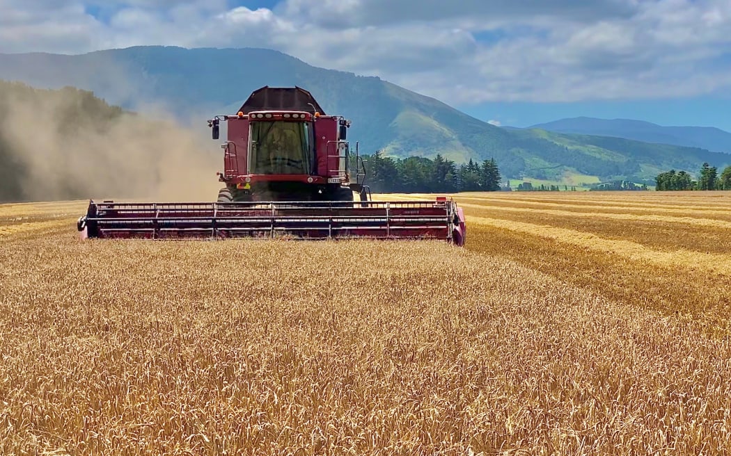 Regulatory hurdles leave NZ farmers behind on inno
