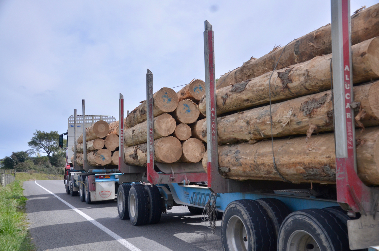 Rural sectors exposed as Middle East conflict drives up input costs