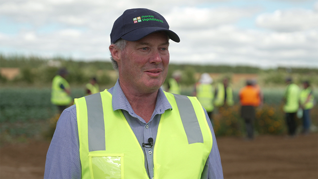 Vege processing exits will hit 300-plus growers