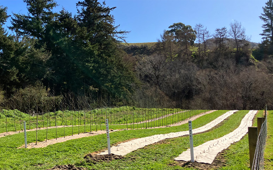 Funding renewed of ECan soil conservation programme