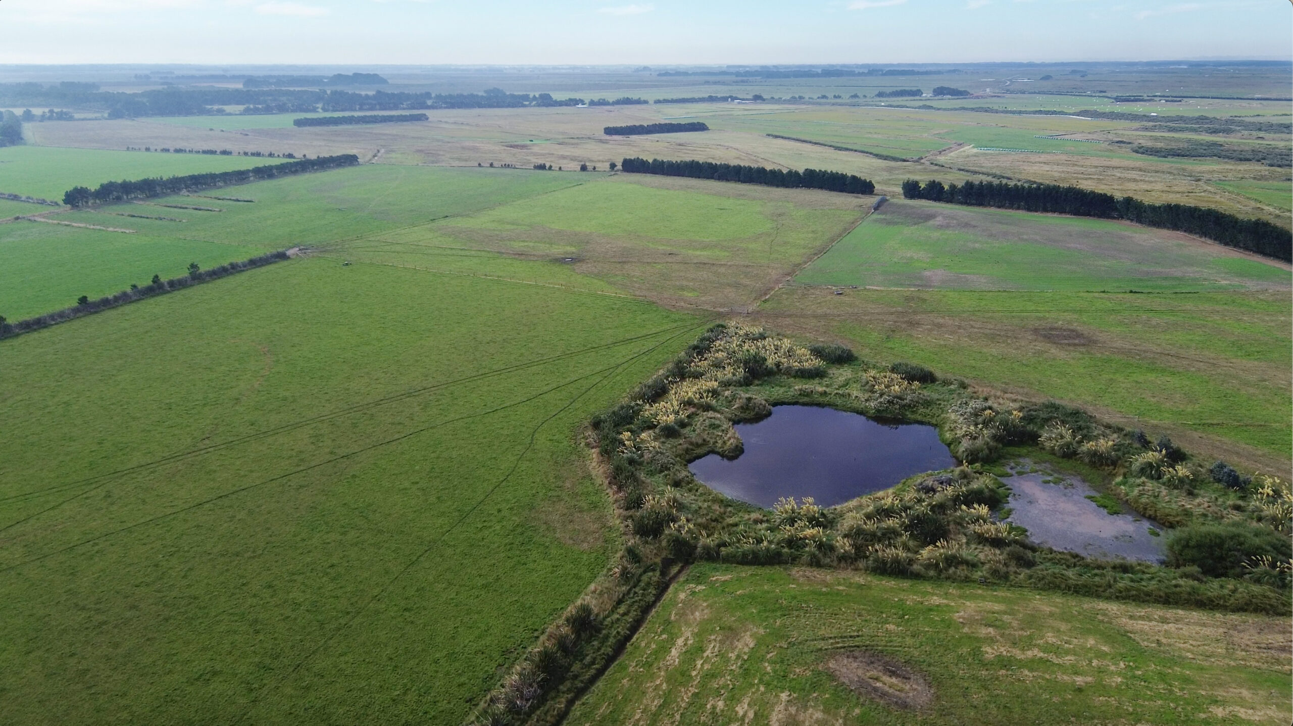 Southland holds firm amid economic tremors