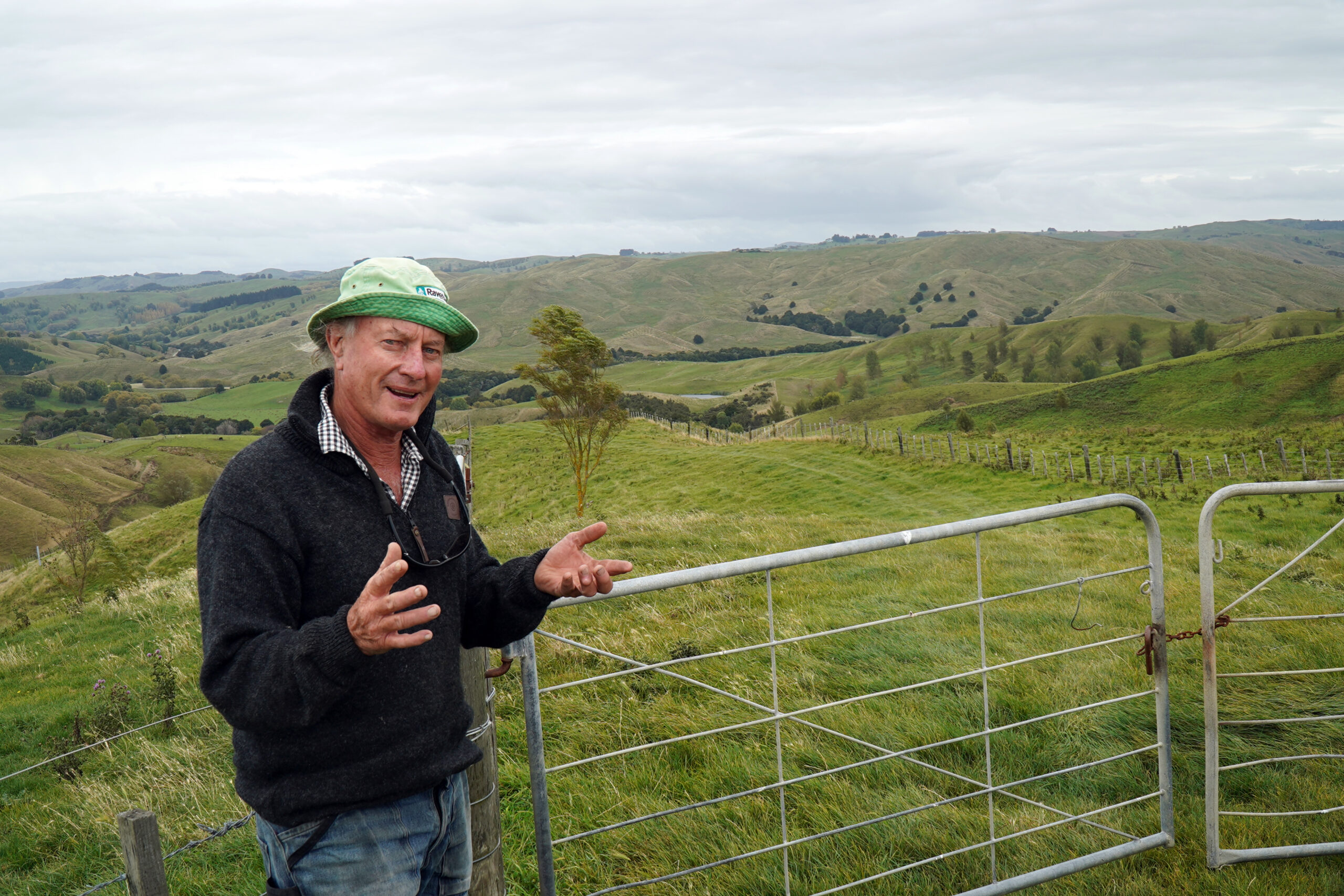 Farmer fears for land and wildlife as forestry moves in
