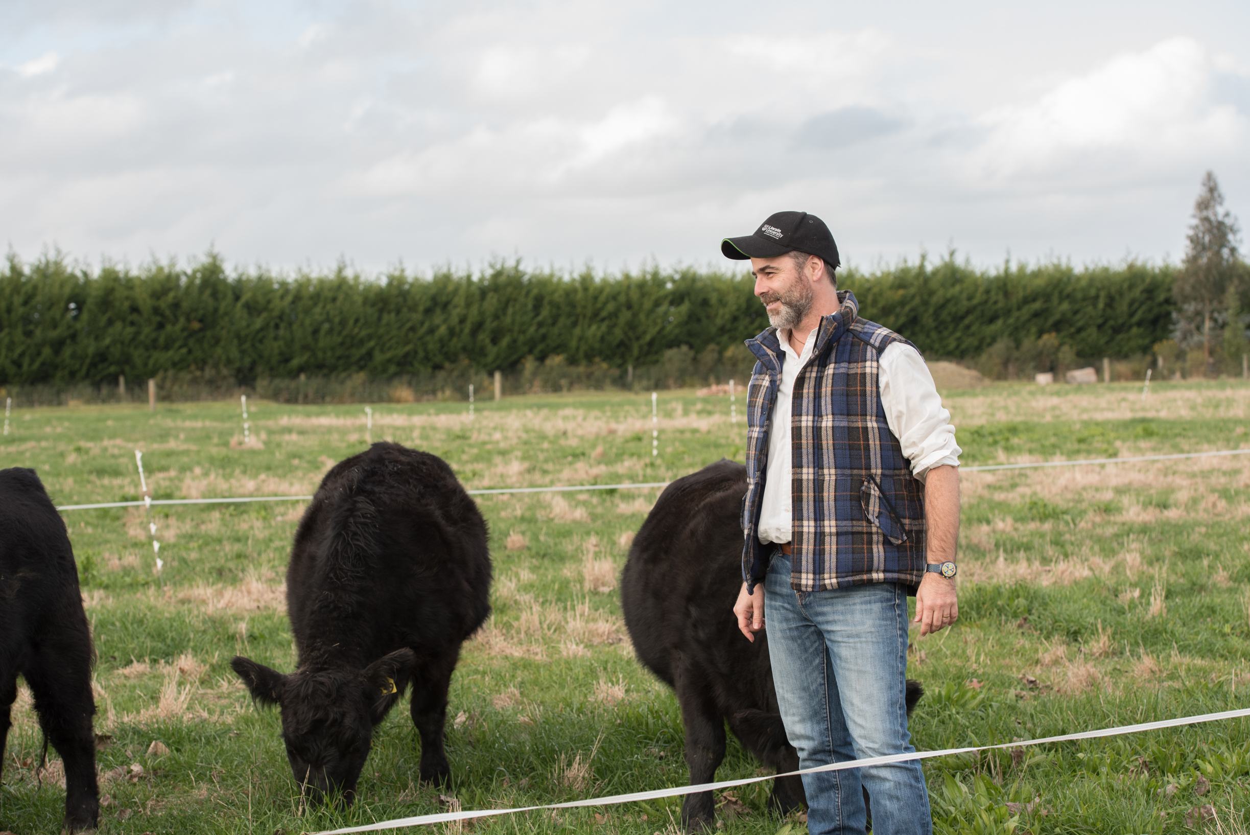 Lincoln professor to head agri platform on global commission