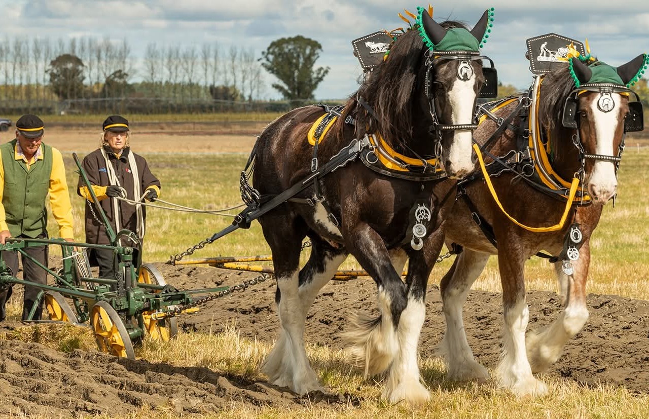 Ploughing through the ages takes to the field