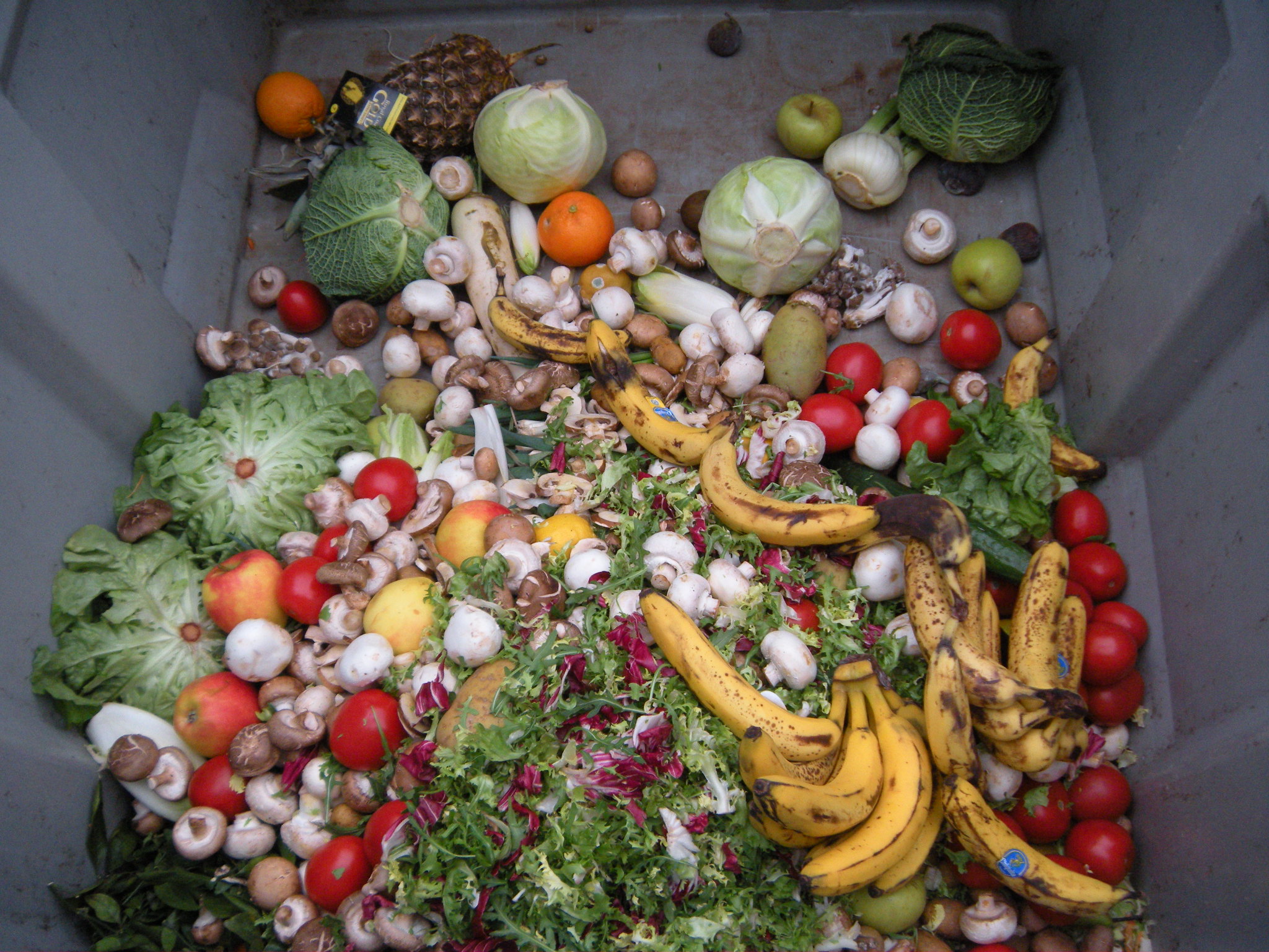 There’s still a long way to go on cutting food waste