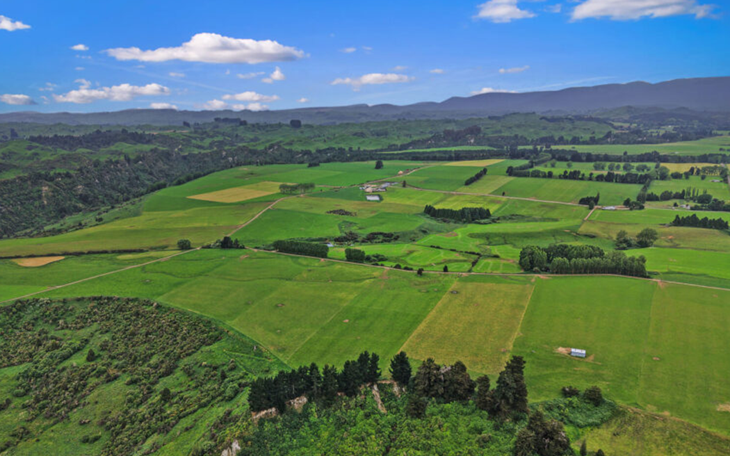 Major dairy operator Hopkins Group exits with full asset sell-off