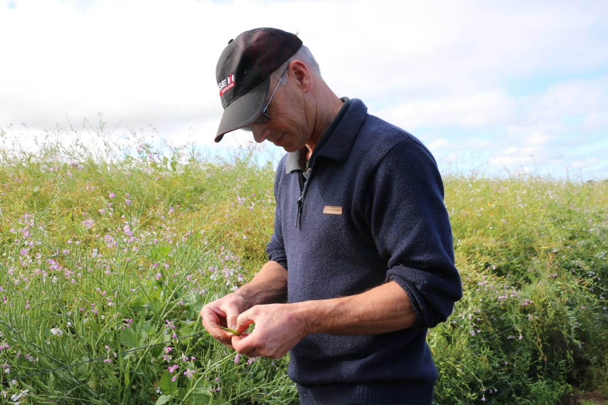Why Canterbury’s crop farmers are leaving the industry