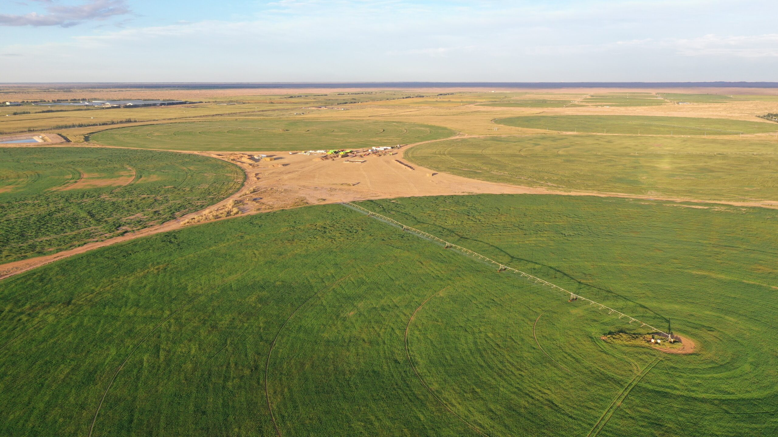 Chance to visit a 100,000-cow organic dairy farm