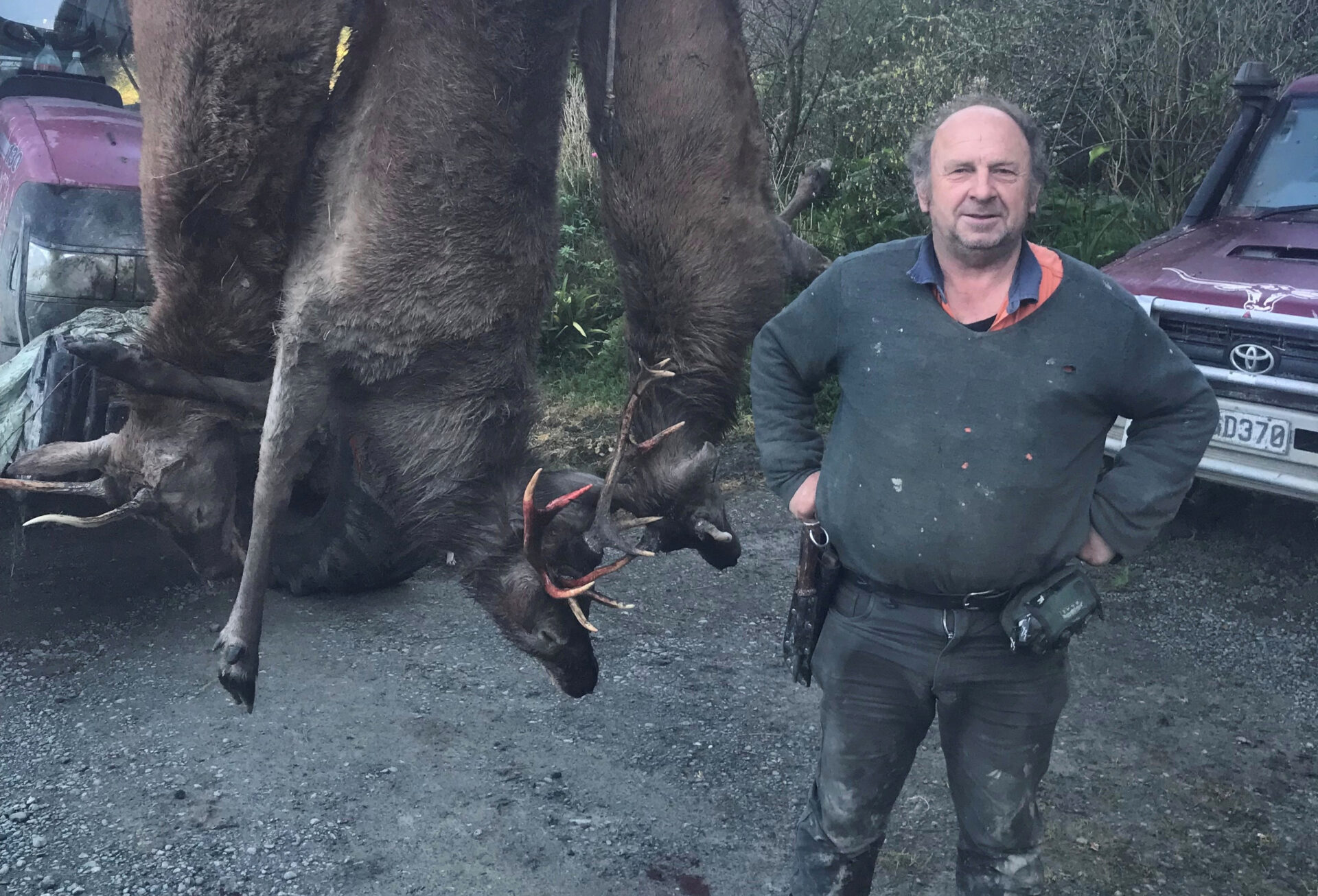 Feral deer boom driving farmers to night hunting measures