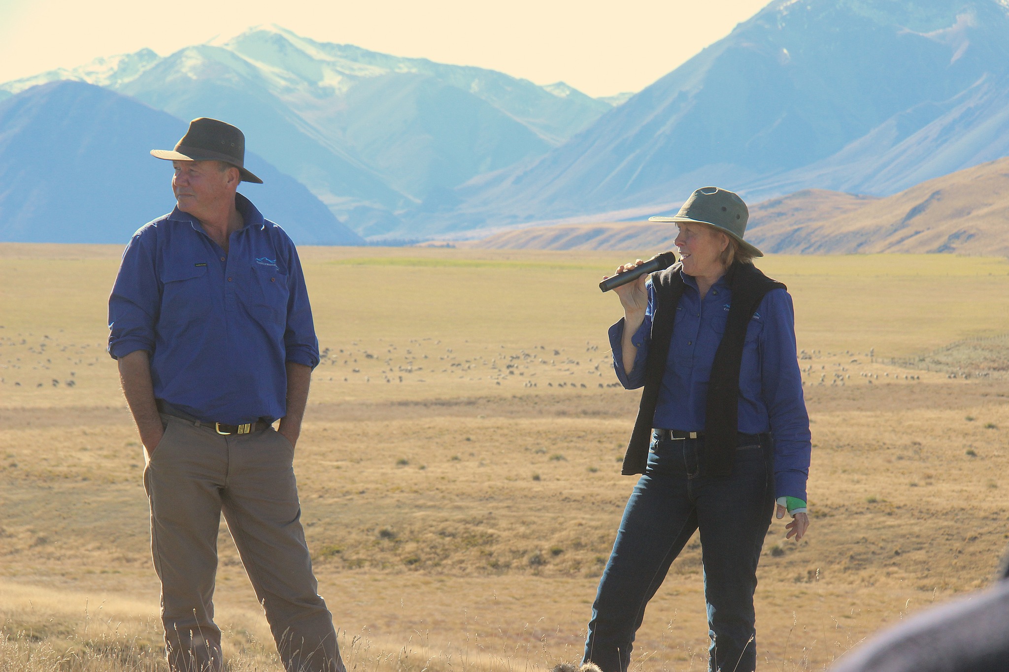 High-country farmers’ costly consent fight no laughing matter