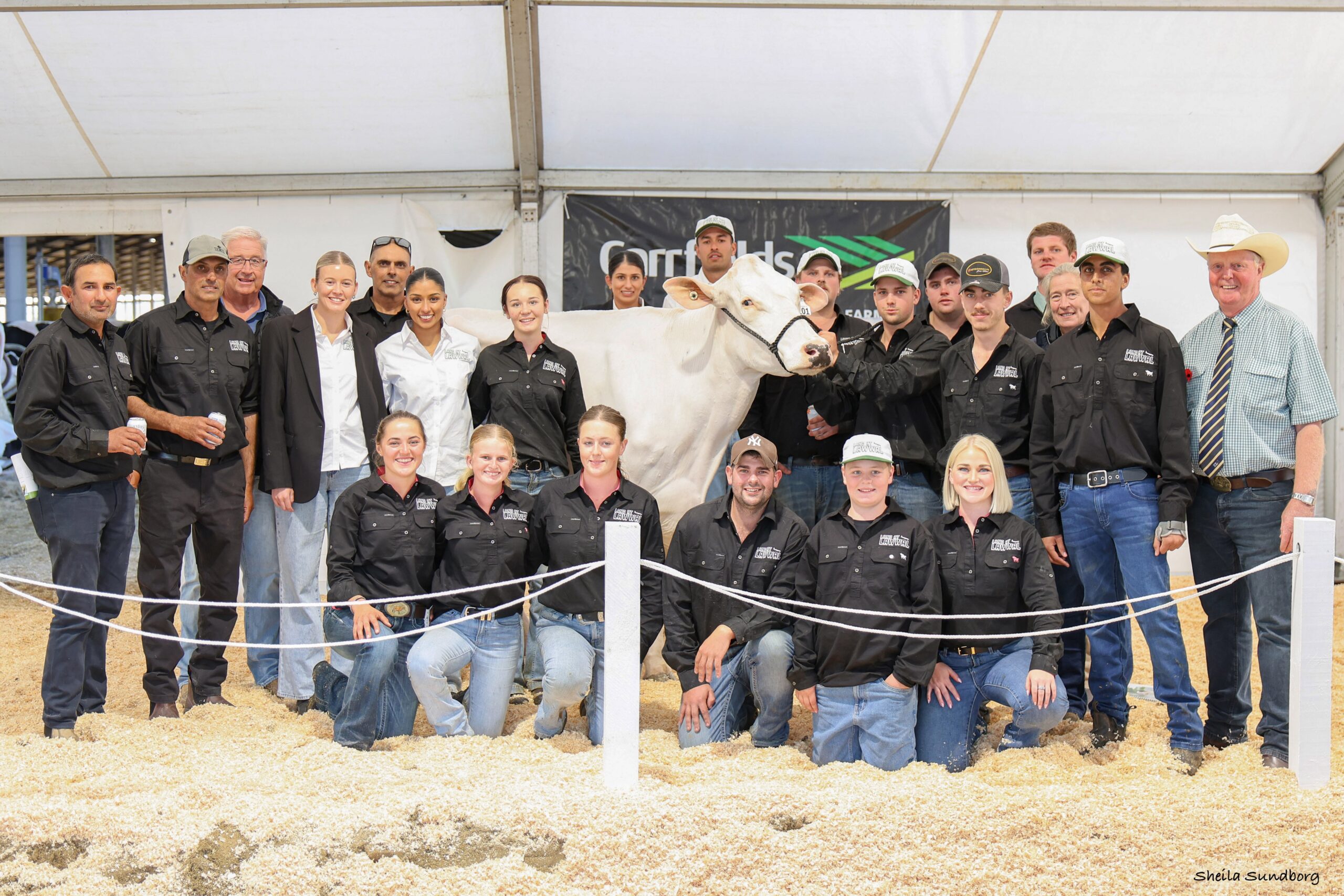 Singh family set record for Australasian sale average