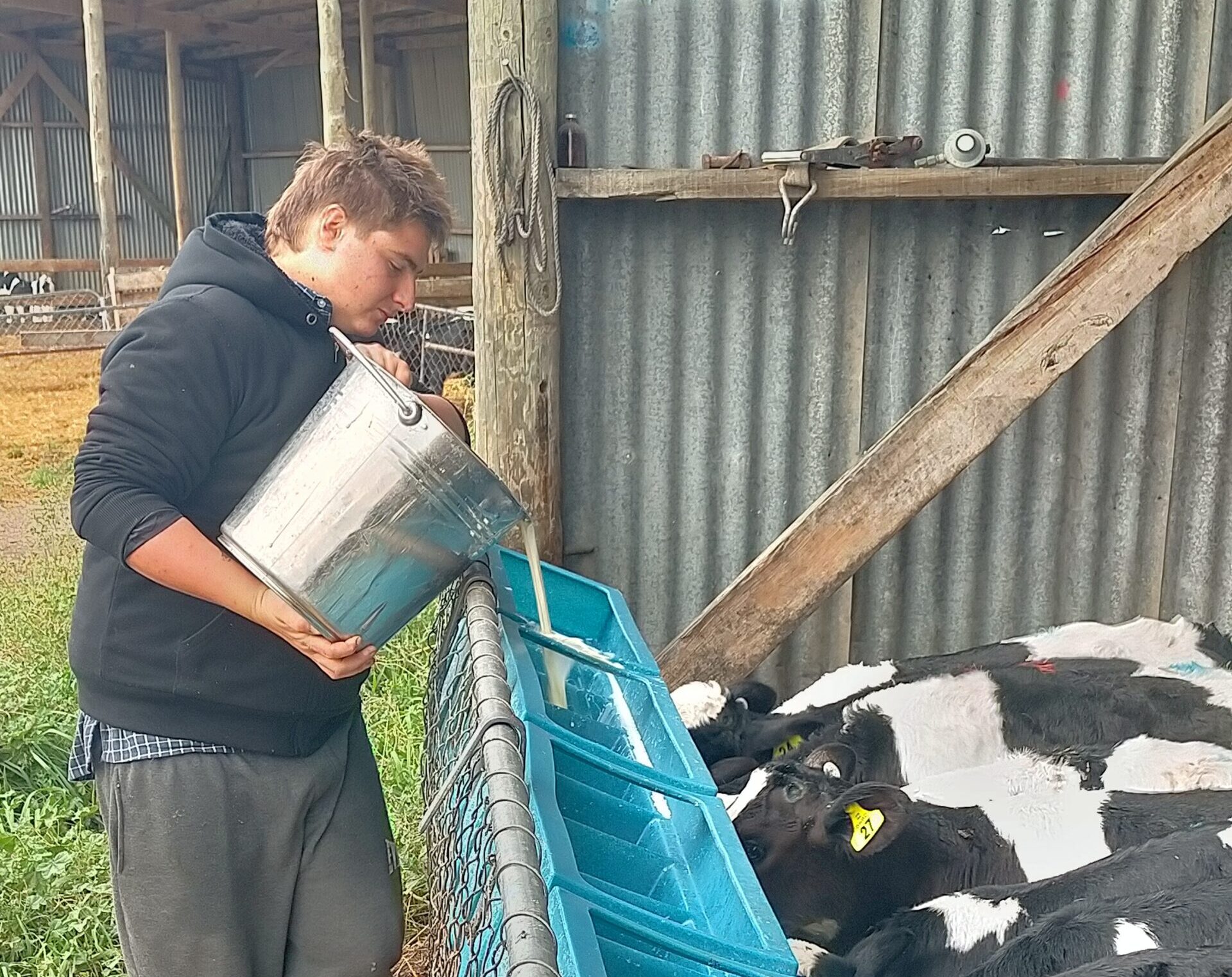 Programme launches youngsters into dairy