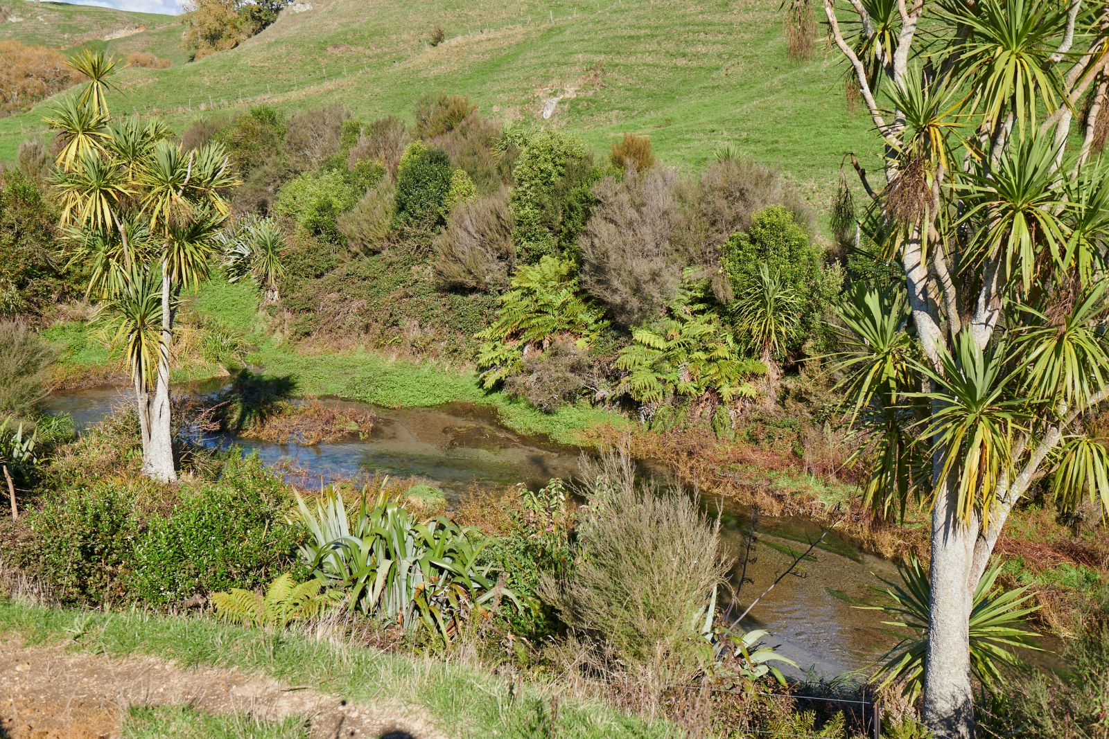 Good farm practices proven to lift freshwater