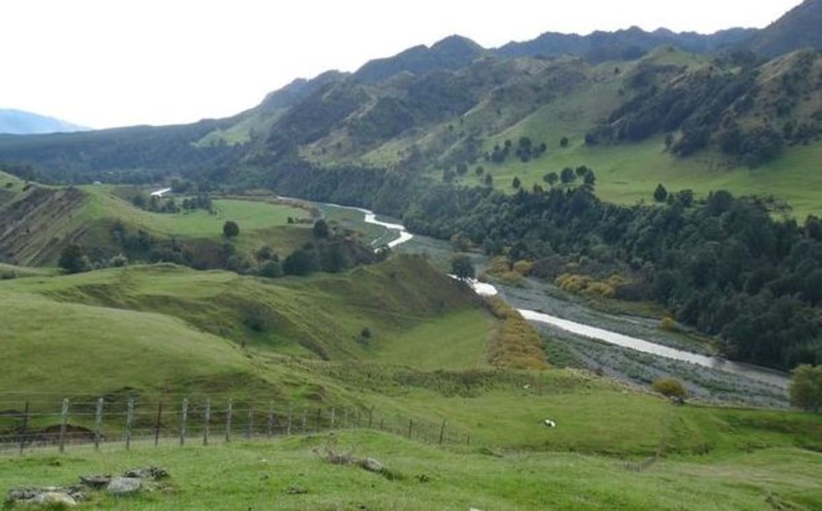 Forest & Bird challenges Tukituki Water Storage Project in court
